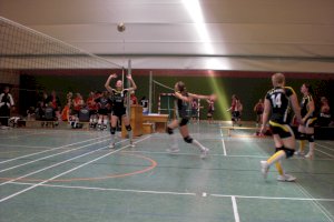 Volleyball - 1. Damen - Kreispokal 2010