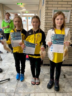 26.11.22/ 9 Sterne für Haselünne